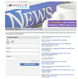 Moonshadow Facebook Newsletter Signup