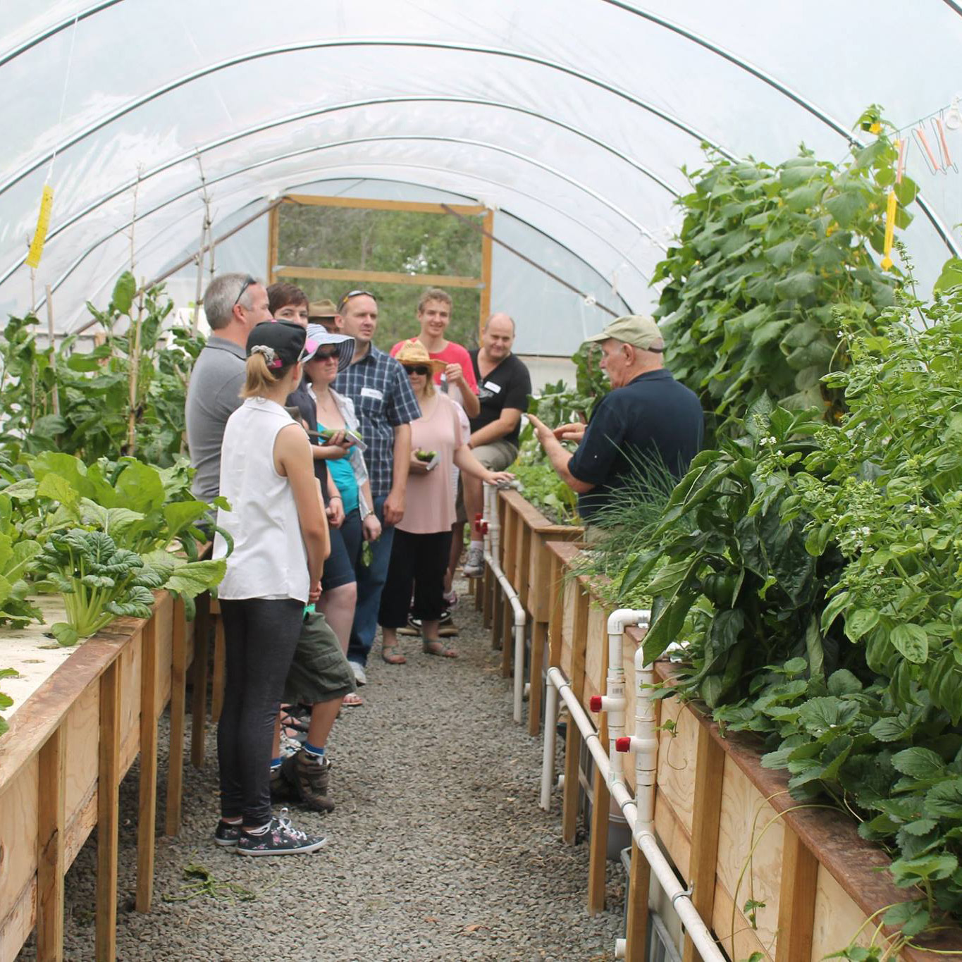 Practical Aquaponics